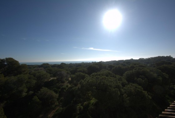 New Build - Penthouse - Guardamar del Segura - Pueblo