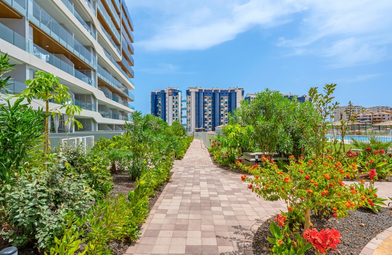 Revente - Appartement - Orihuela Costa - Punta Prima