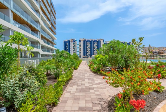 Revente - Appartement - Orihuela Costa - Punta Prima