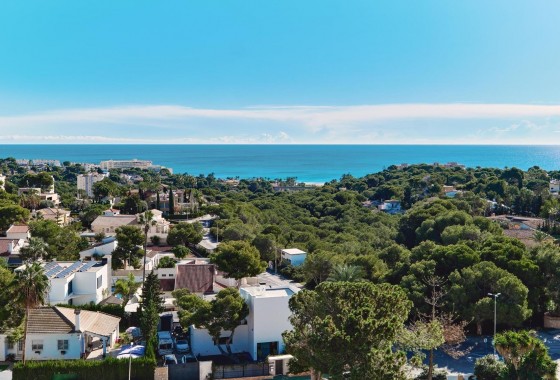 Resale - Apartment / flat - Dehesa de campoamor - Campoamor