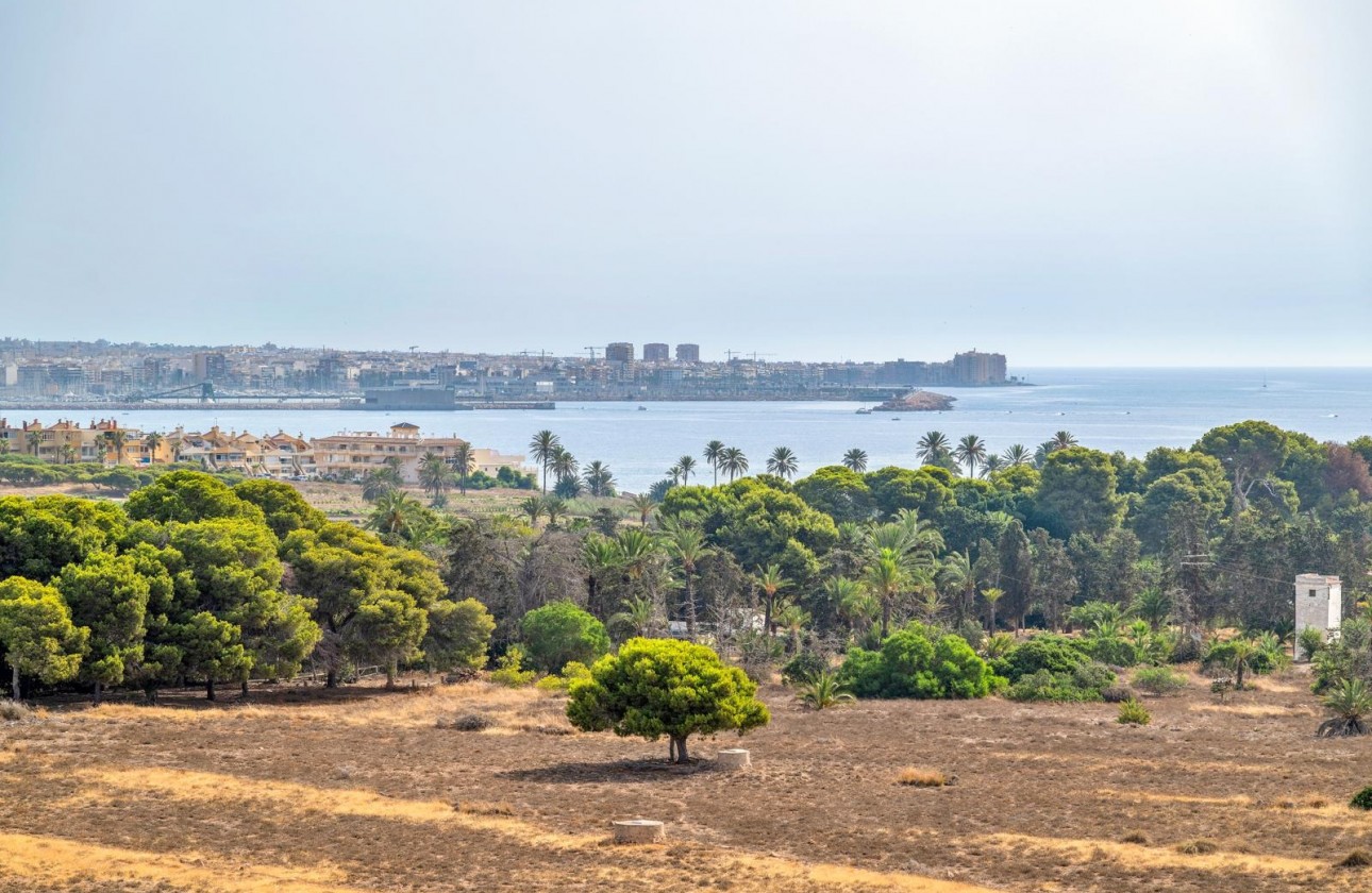 Revente - Attique - Torrevieja - Punta prima