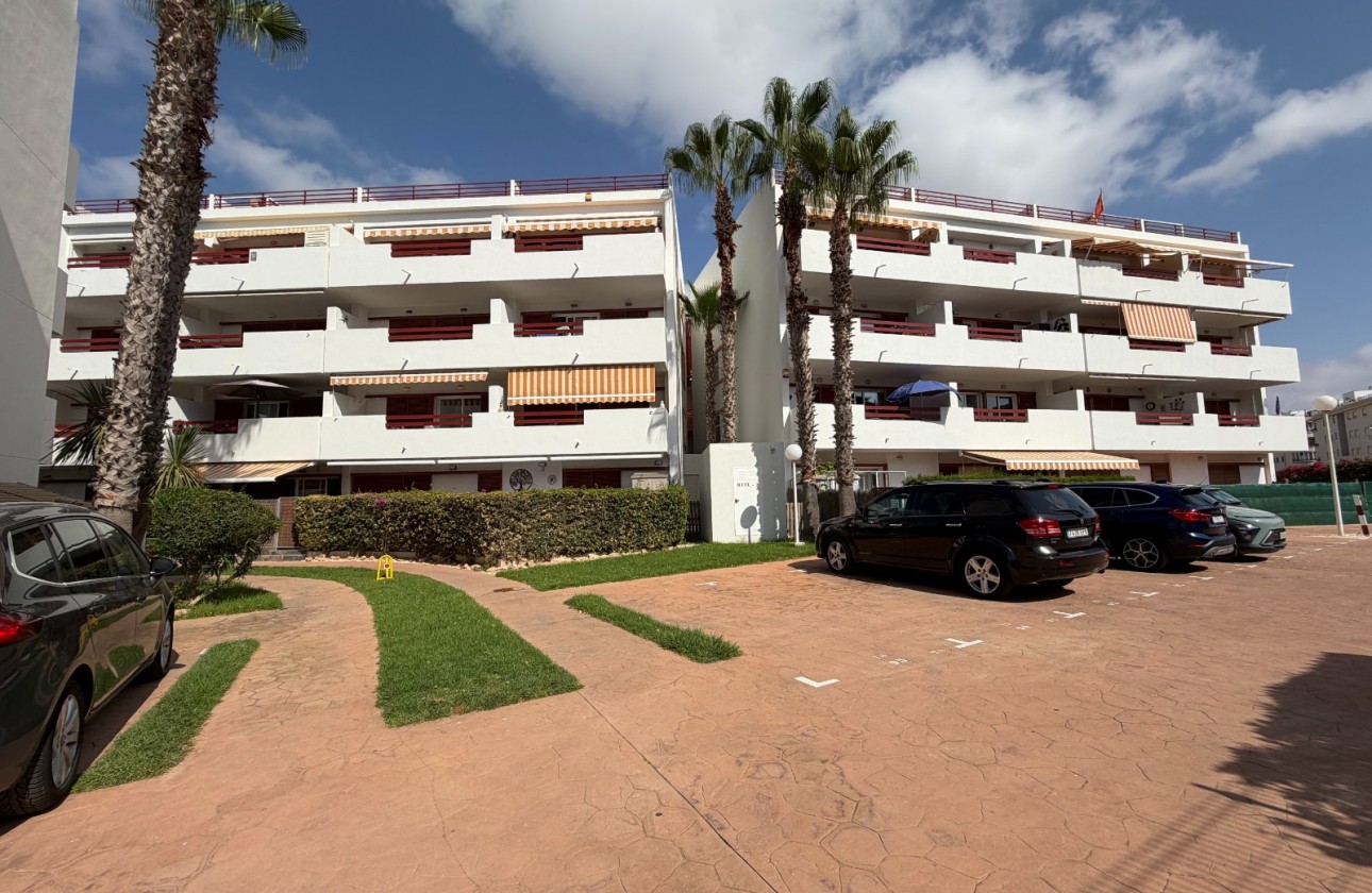 Revente - Appartement - Orihuela - Playa Flamenca