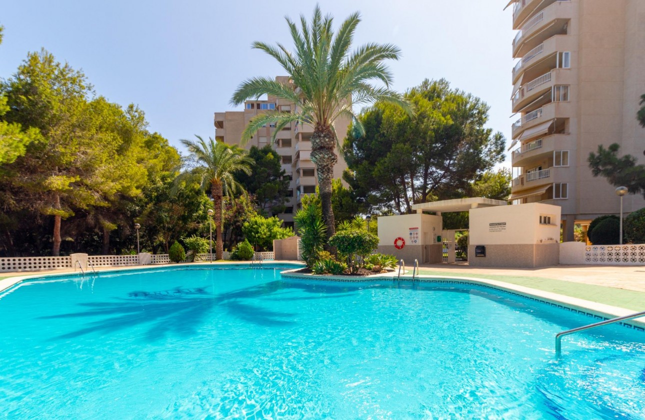 Resale - Apartment / flat - Orihuela Costa - Campoamor