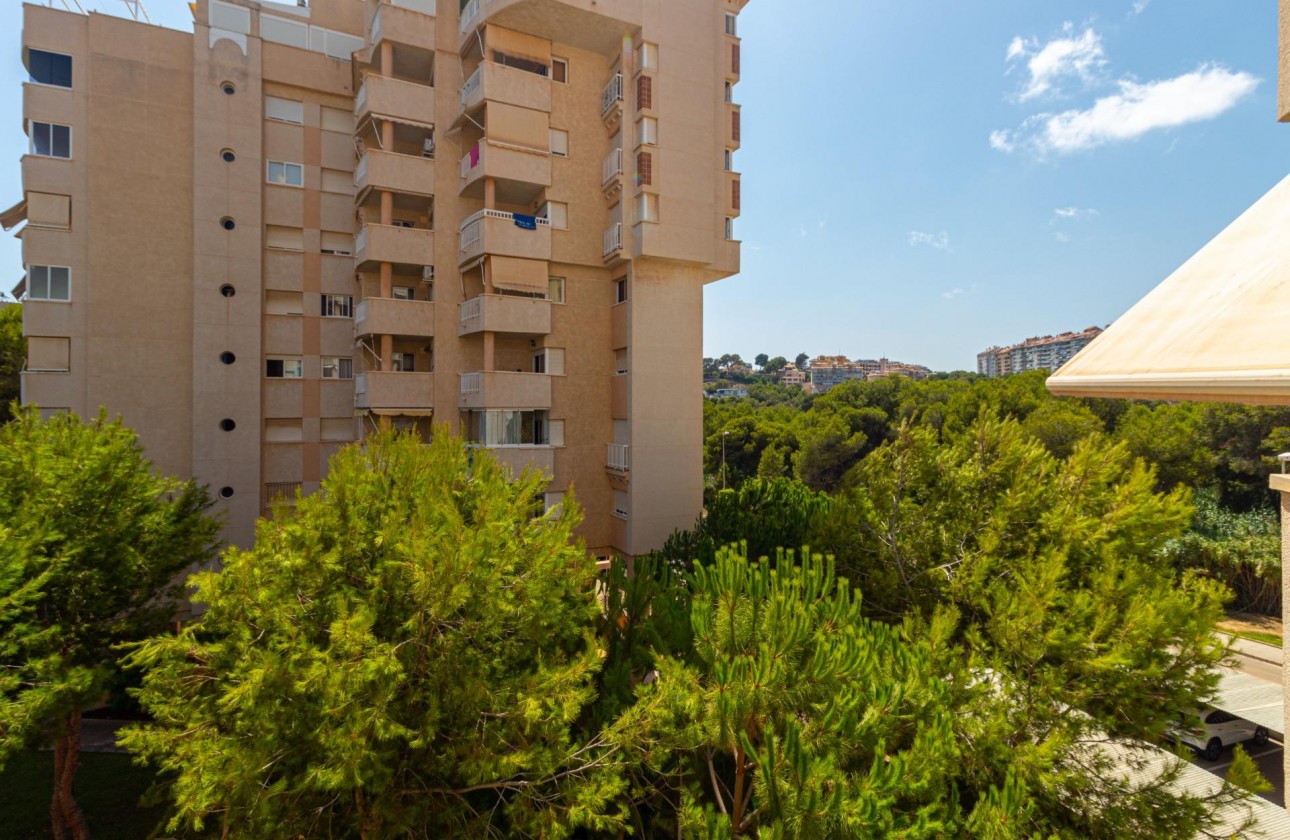 Resale - Apartment / flat - Orihuela Costa - Campoamor