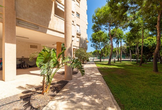 Resale - Apartment / flat - Orihuela Costa - Campoamor