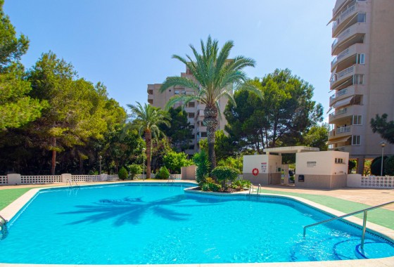 Resale - Apartment / flat - Orihuela Costa - Campoamor