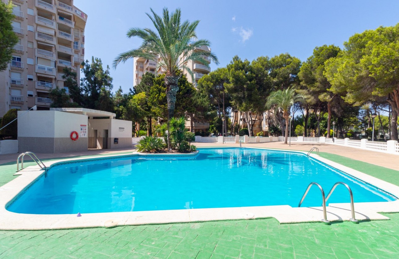 Resale - Apartment / flat - Orihuela Costa - Campoamor