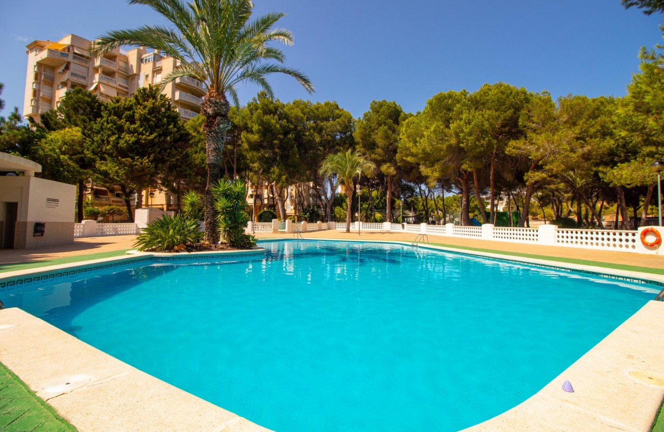 Resale - Apartment / flat - Orihuela Costa - Campoamor