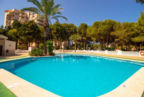 Resale - Apartment / flat - Orihuela Costa - Campoamor
