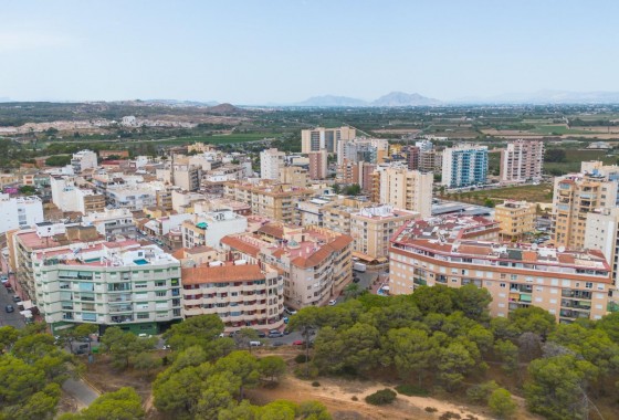 Revente - Appartement - Guardamar del Segura - CENTRO