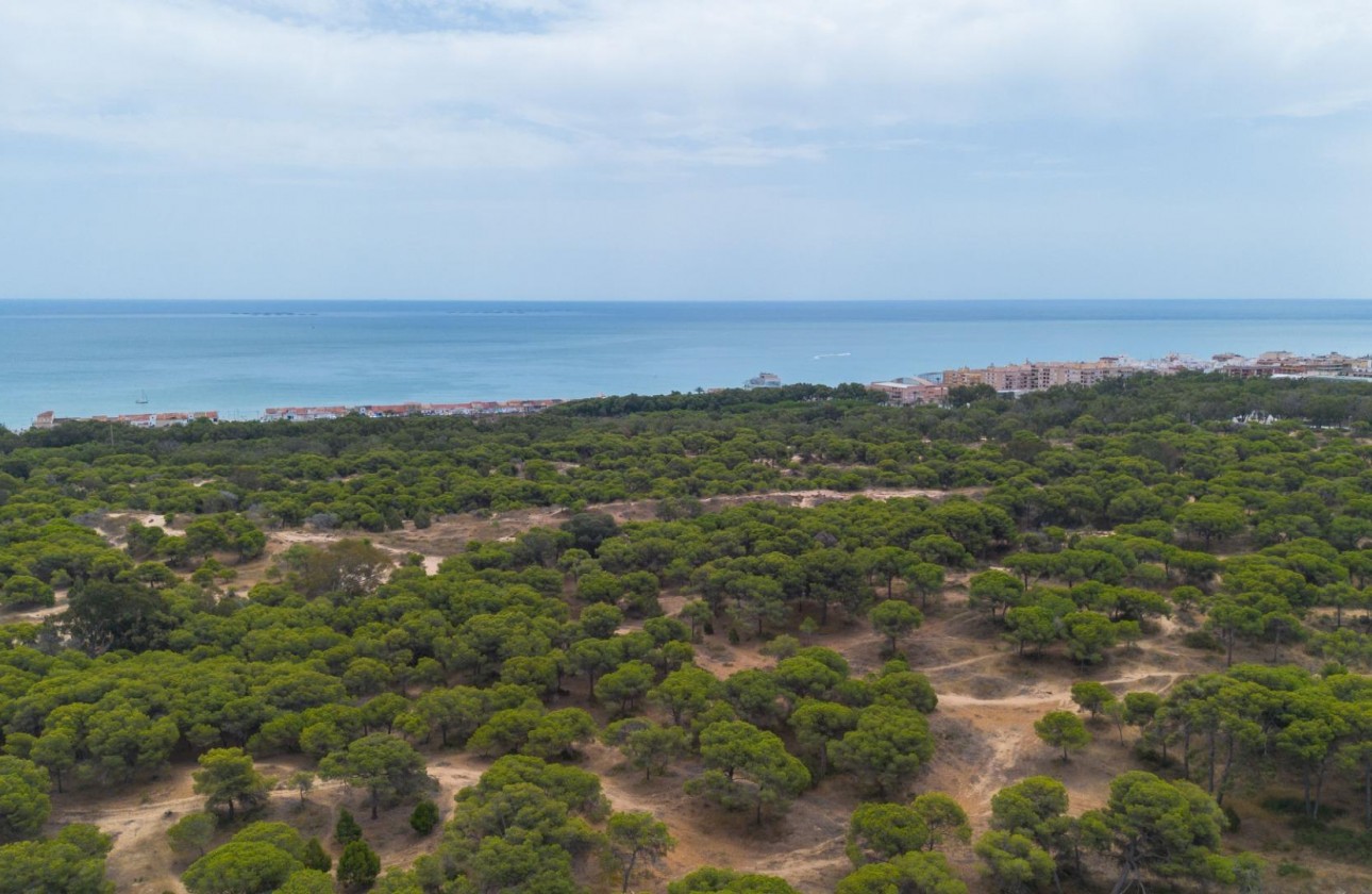 Revente - Appartement - Guardamar del Segura - CENTRO
