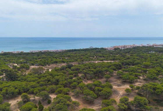 Revente - Appartement - Guardamar del Segura - CENTRO