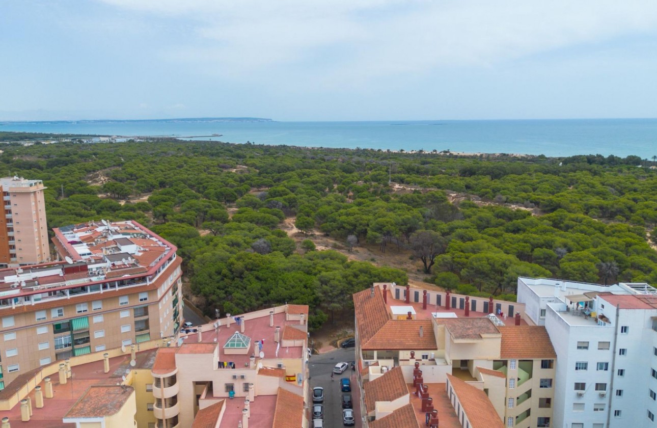 Revente - Appartement - Guardamar del Segura - CENTRO