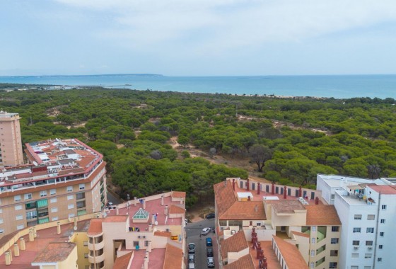 Revente - Appartement - Guardamar del Segura - CENTRO