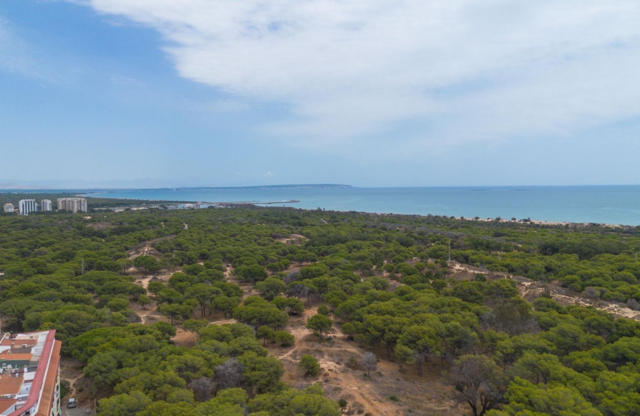 Revente - Appartement - Guardamar del Segura - CENTRO