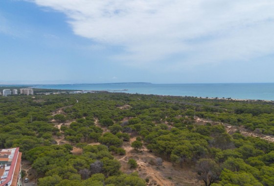 Revente - Appartement - Guardamar del Segura - CENTRO