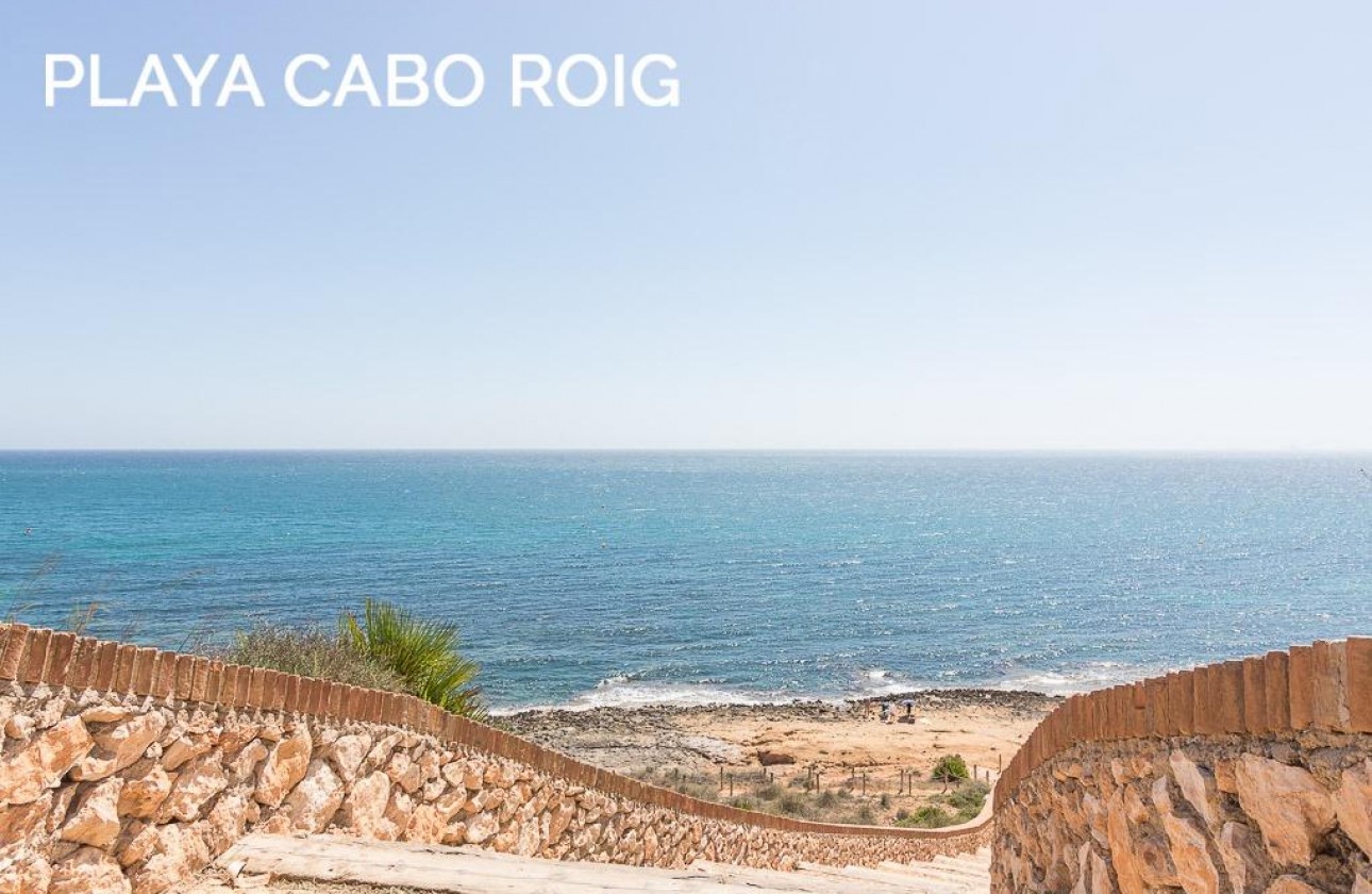 Reventa - Chalet - San Miguel de Salinas - Las filipinas