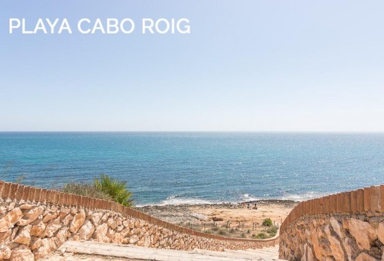 Reventa - Chalet - San Miguel de Salinas - Las filipinas