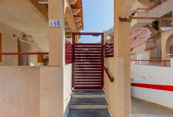 Reventa - Apartamento / piso - Torrevieja - Acequion