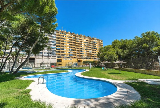 Reventa - Apartamento / piso - Orihuela Costa - Altos de Campoamor