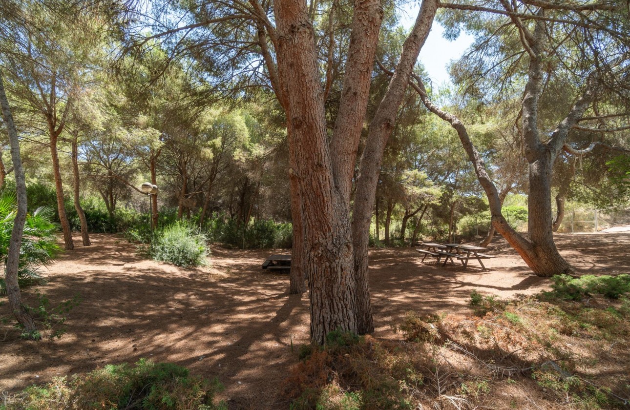 Reventa - Apartamento / piso - Orihuela Costa - Altos de Campoamor