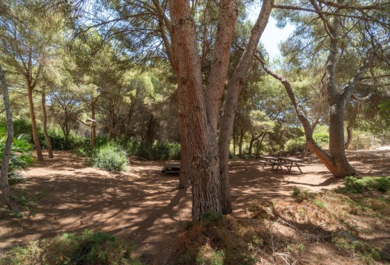 Reventa - Apartamento / piso - Orihuela Costa - Altos de Campoamor