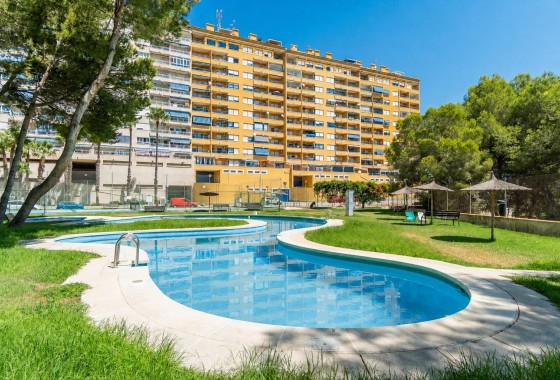 Reventa - Apartamento / piso - Orihuela Costa - Altos de Campoamor