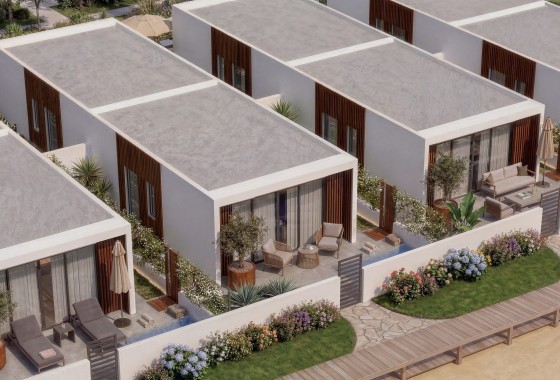 Nouvelle construction - Villa - Vera Playa