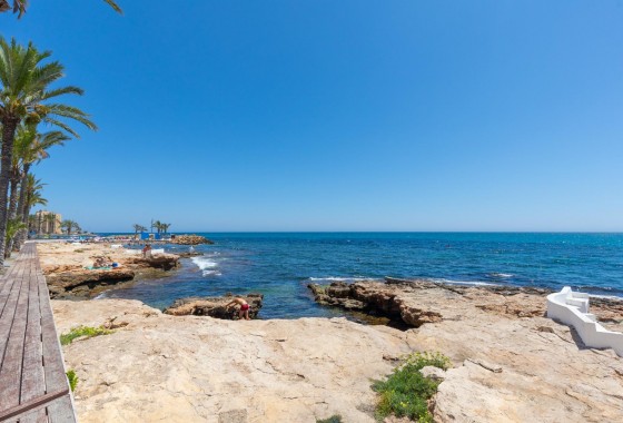 Revente - Appartement - Torrevieja - Paseo maritimo