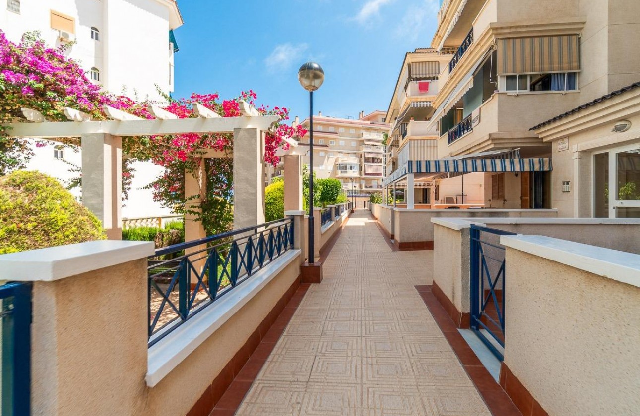 Alquiler a largo plazo - Apartamento / piso - Torrevieja - La Mata
