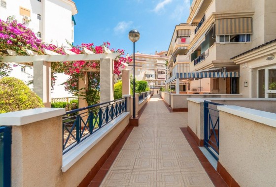 Alquiler a largo plazo - Apartamento / piso - Torrevieja - La Mata
