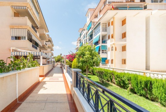 Alquiler a largo plazo - Apartamento / piso - Torrevieja - La Mata