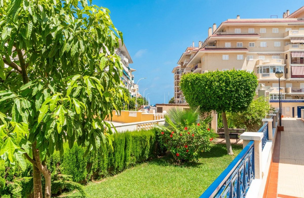 Alquiler a largo plazo - Apartamento / piso - Torrevieja - La Mata