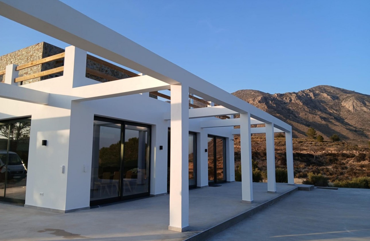 Nouvelle construction - Villa - Pinoso - Casas Pastor