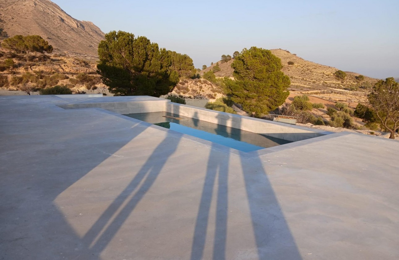 Nouvelle construction - Villa - Pinoso - Casas Pastor
