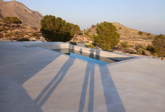 Nouvelle construction - Villa - Pinoso - Casas Pastor