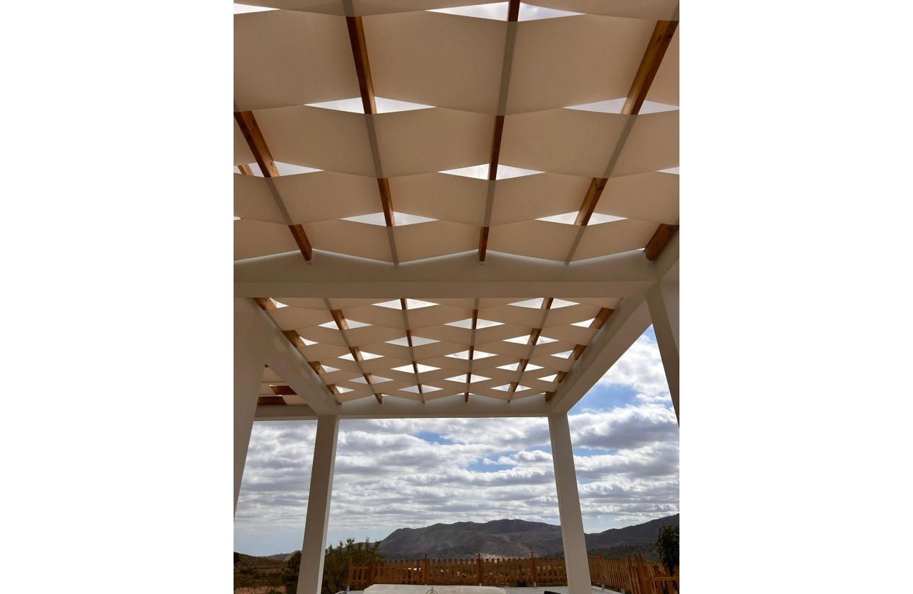Nouvelle construction - Villa - Pinoso - Casas Pastor