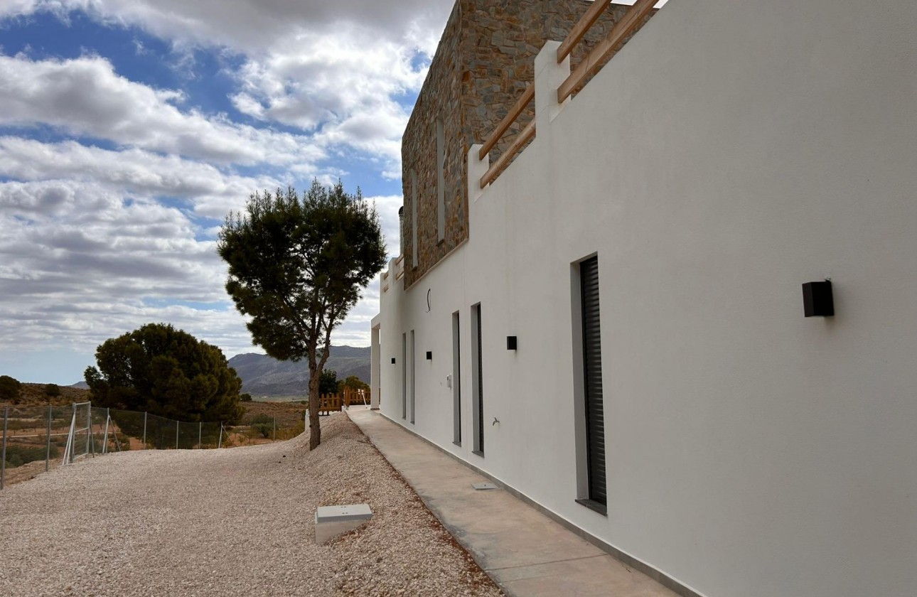 Nouvelle construction - Villa - Pinoso - Casas Pastor