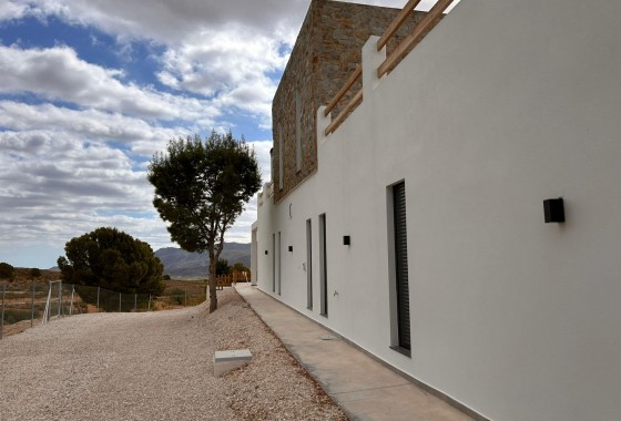 Nouvelle construction - Villa - Pinoso - Casas Pastor
