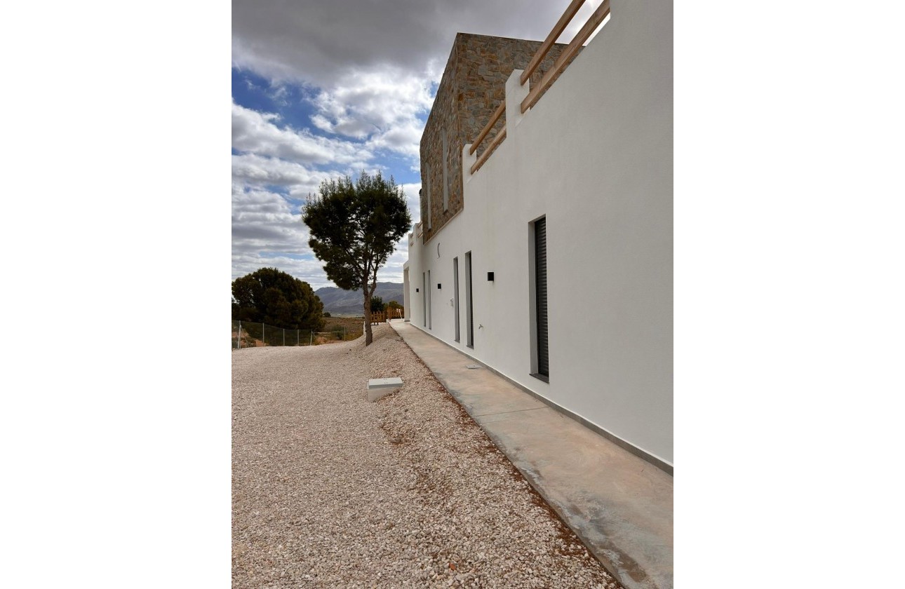 Nouvelle construction - Villa - Pinoso - Casas Pastor