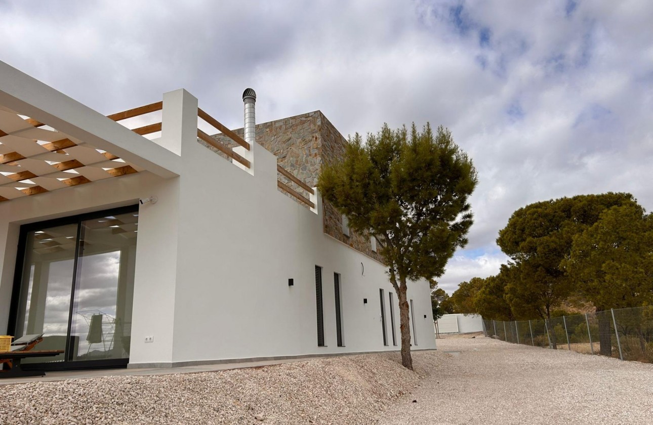 Nouvelle construction - Villa - Pinoso - Casas Pastor