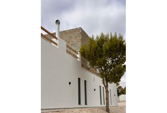 Nouvelle construction - Villa - Pinoso - Casas Pastor