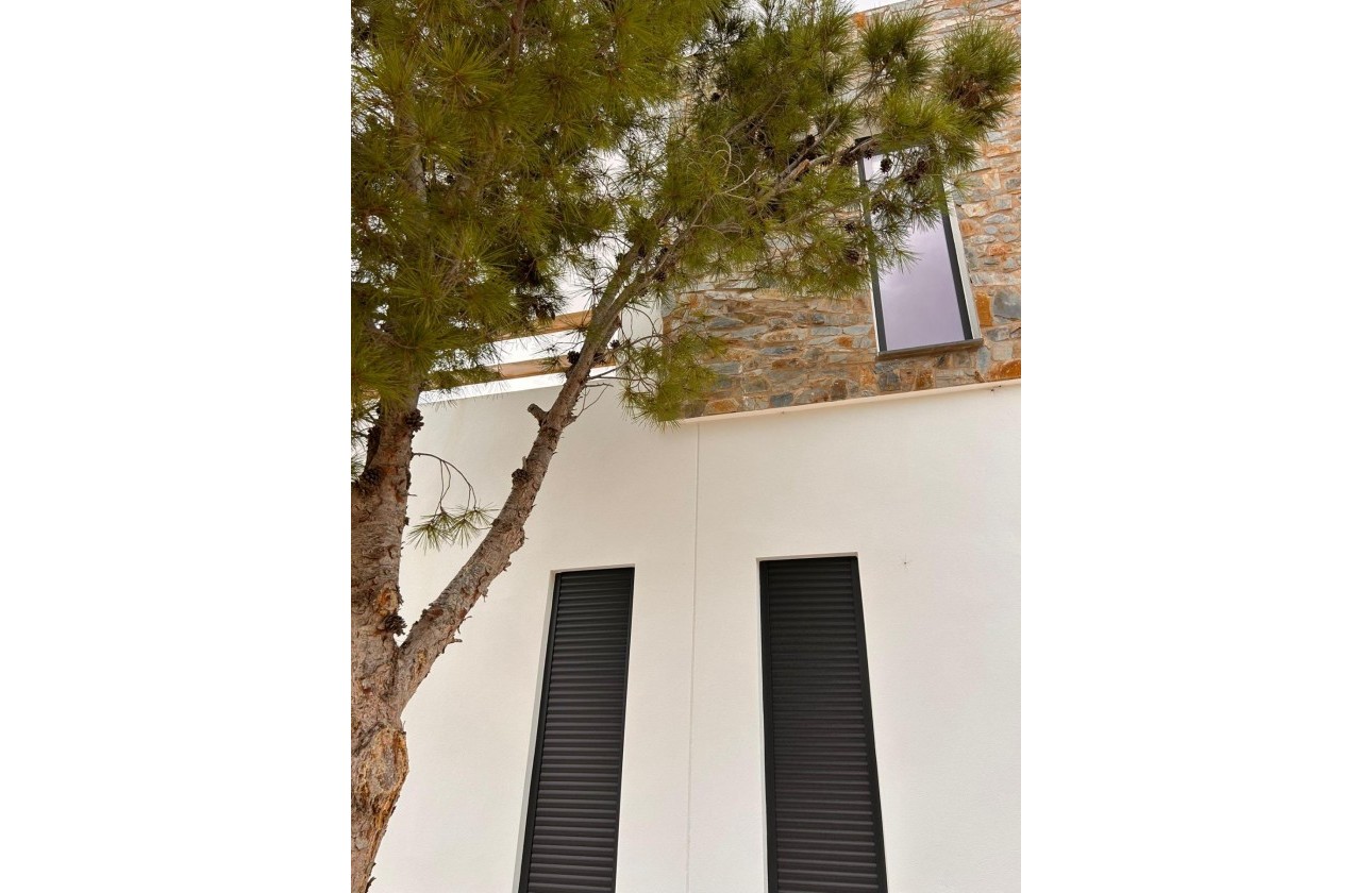 Nouvelle construction - Villa - Pinoso - Casas Pastor
