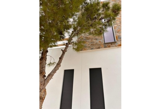 Nouvelle construction - Villa - Pinoso - Casas Pastor