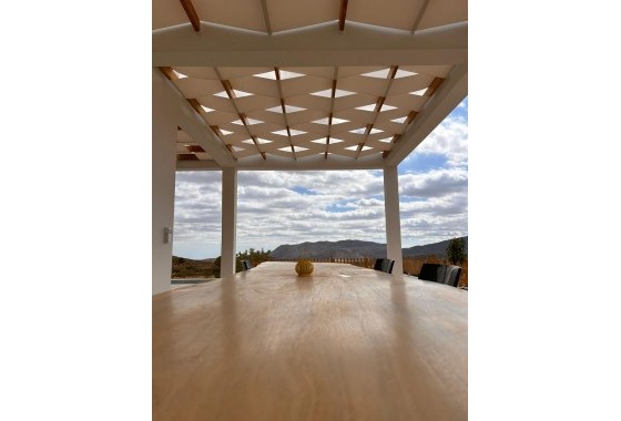 Nouvelle construction - Villa - Pinoso - Casas Pastor