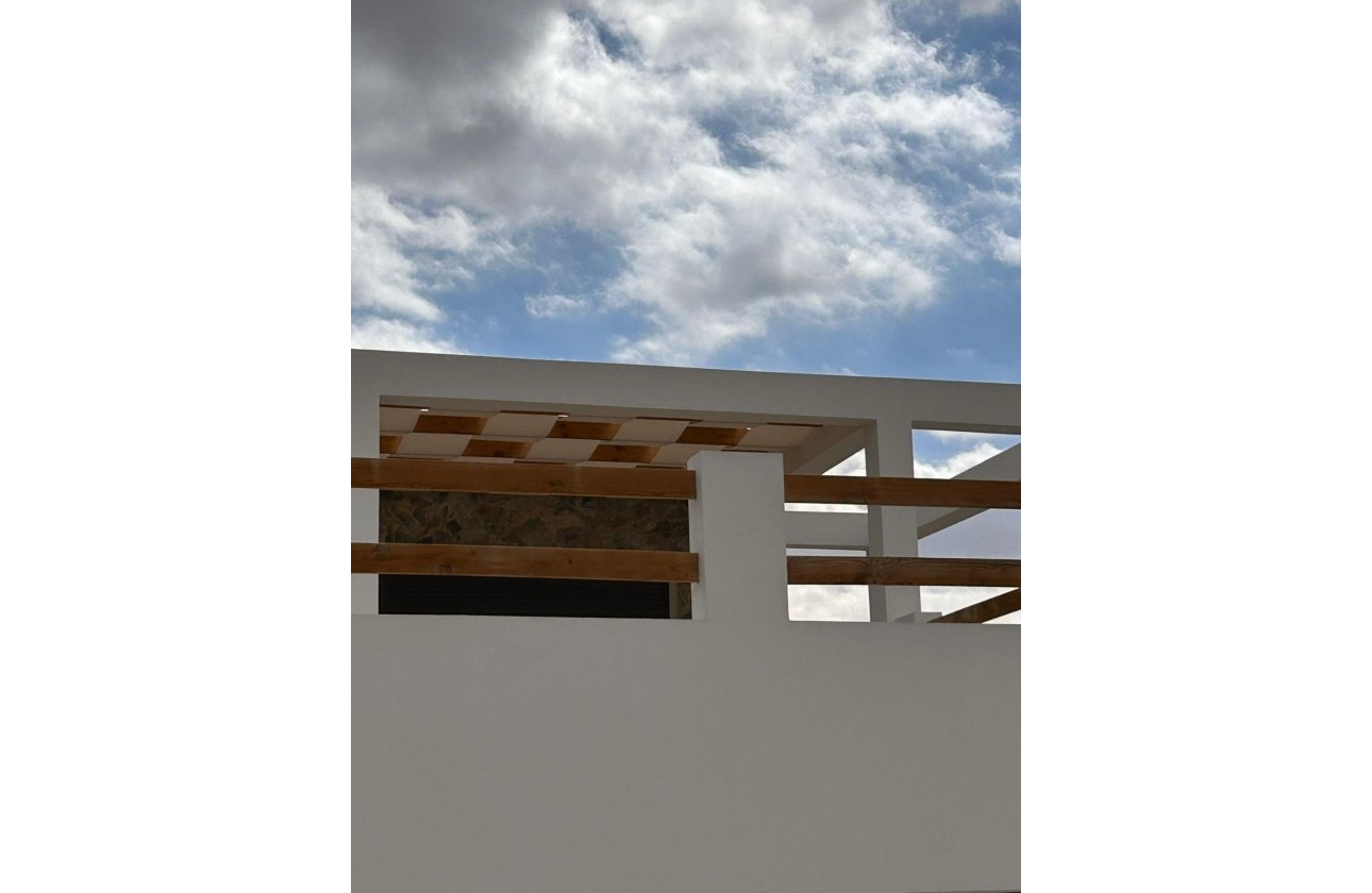 Nouvelle construction - Villa - Pinoso - Casas Pastor