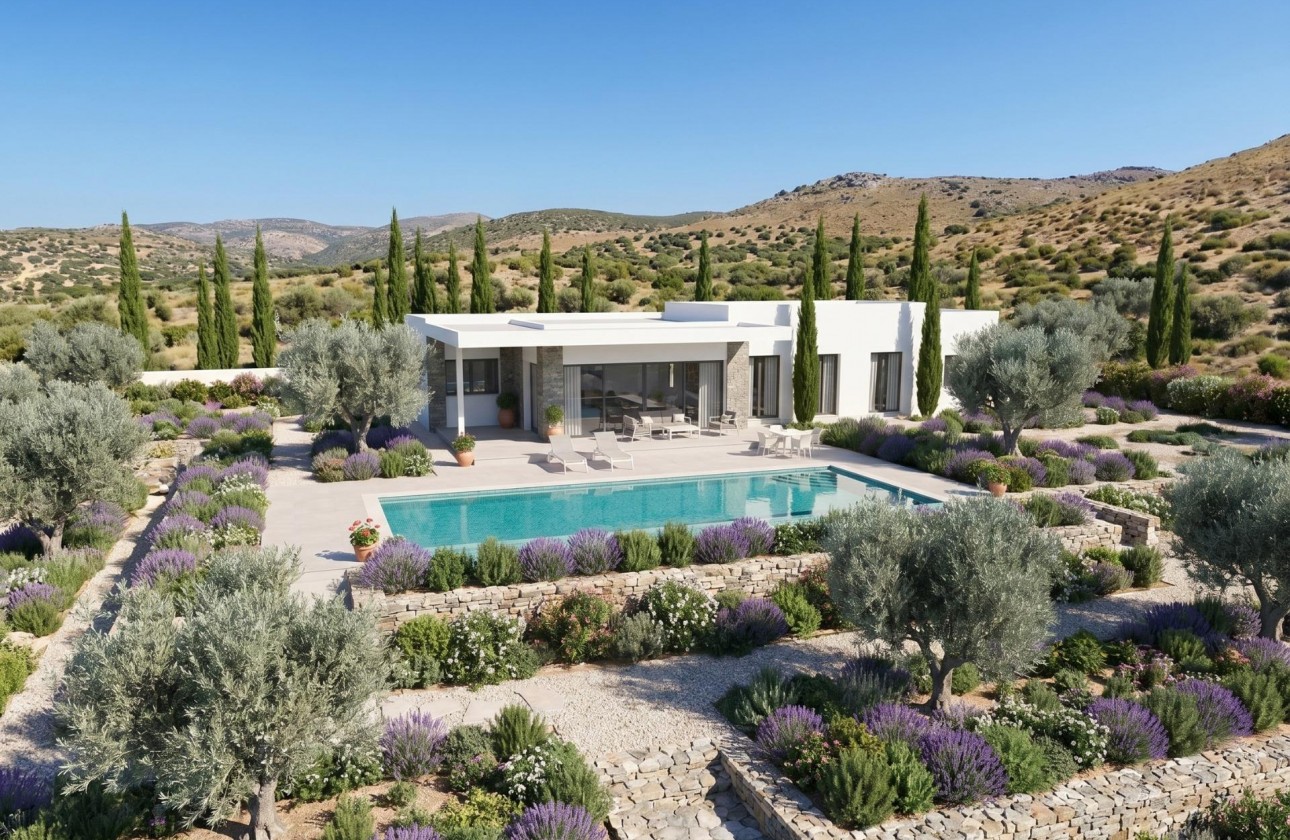 Nouvelle construction - Villa - Pinoso - Casas Pastor