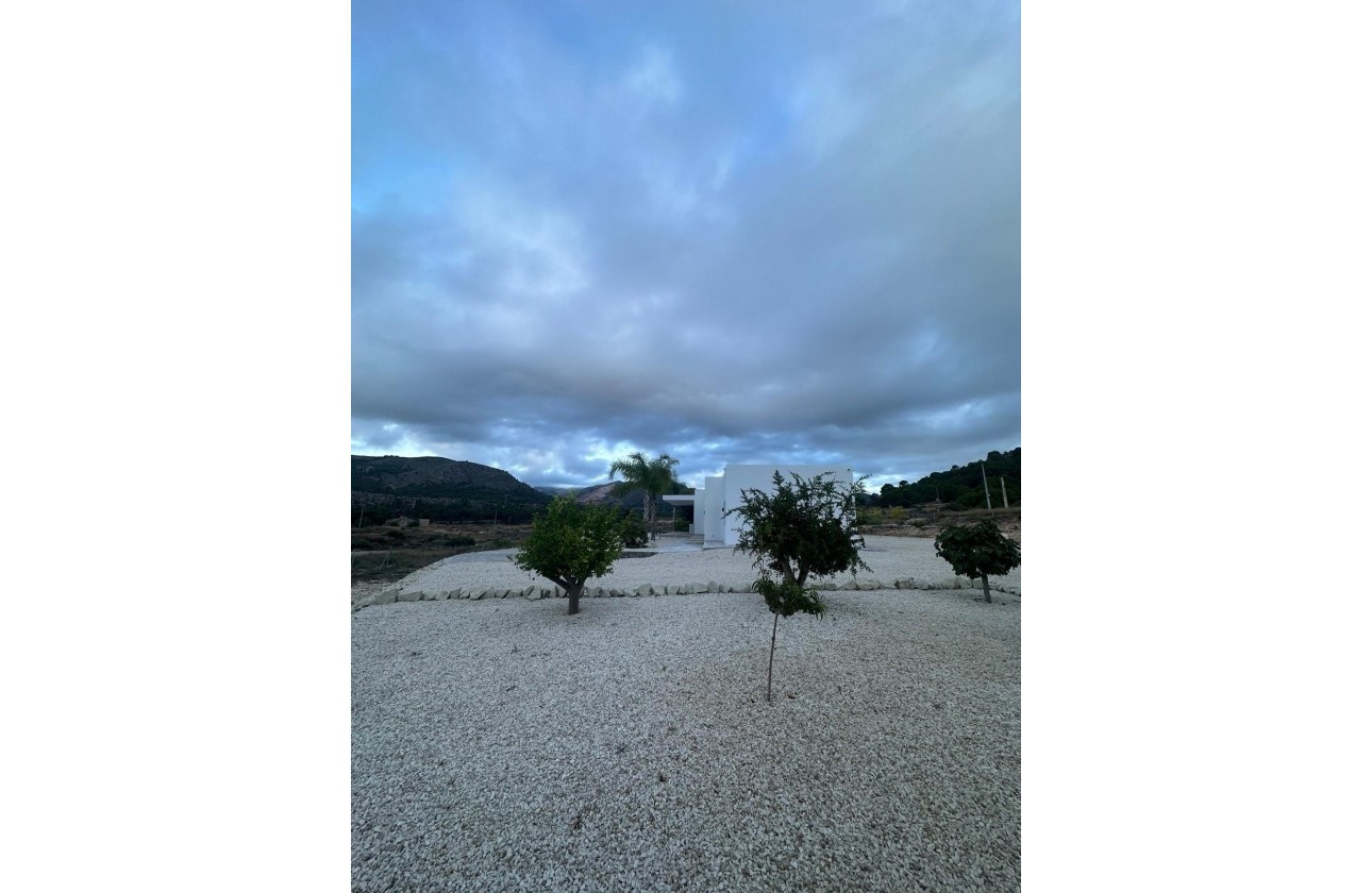 Nouvelle construction - Villa - Pinoso - Casas Pastor
