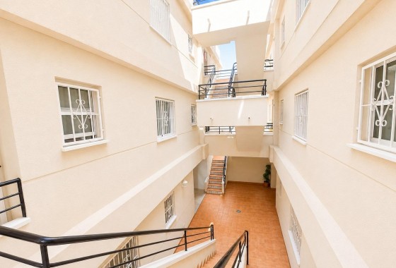 Reventa - Apartamento / piso - Torrevieja - Estacion de autobuses