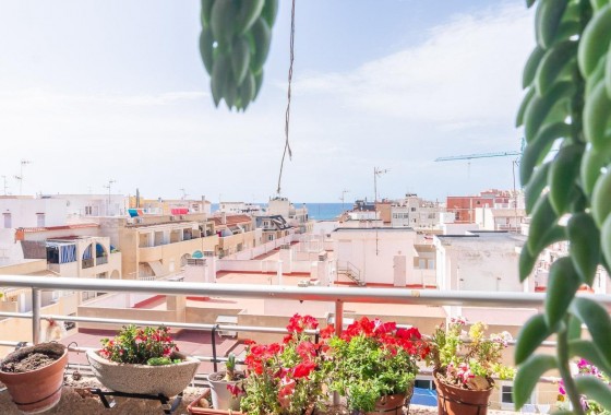 Revente - Appartement - Torrevieja - Centro